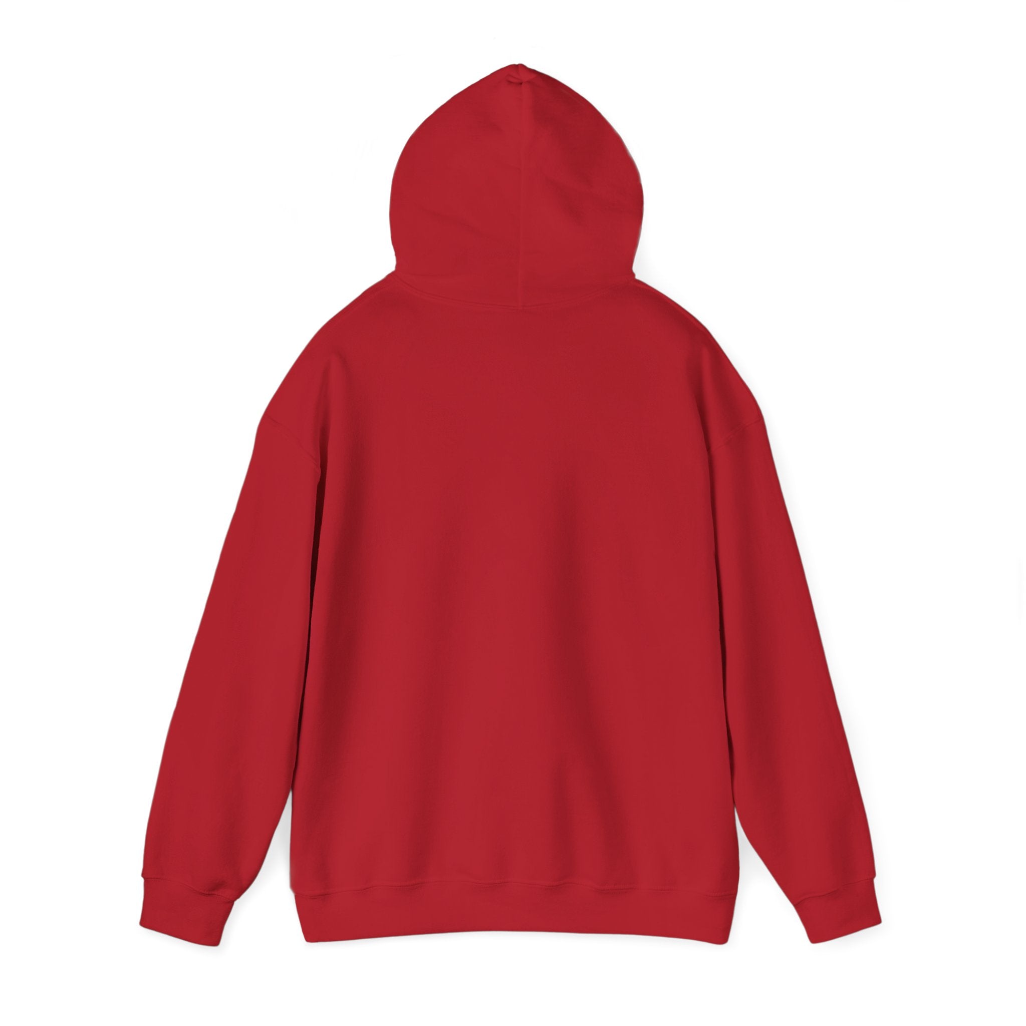 Christian Hoodie — "The Battle Is Not Yours But God's" Inspirational Pullover