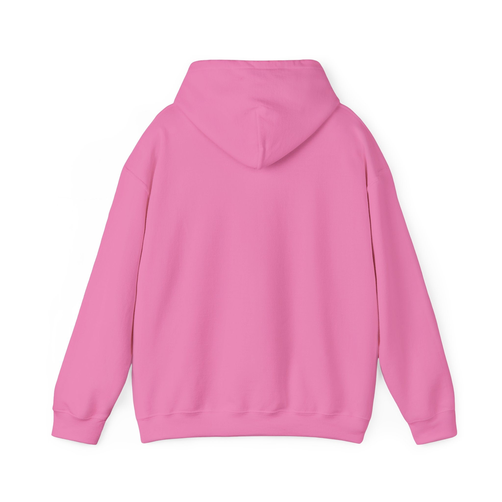 Christian Hoodie — "The Battle Is Not Yours But God's" Inspirational Pullover
