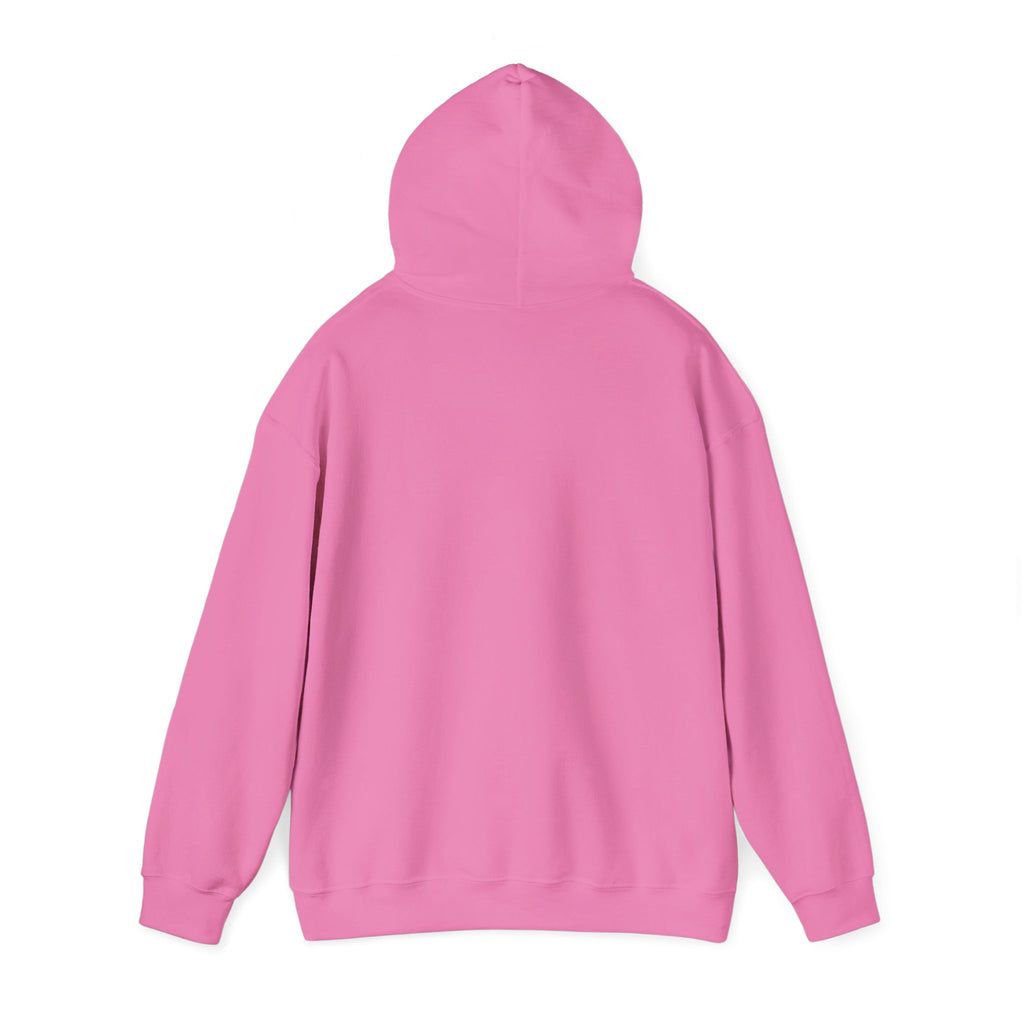 Christian Hoodie — "The Battle Is Not Yours But God's" Inspirational Pullover