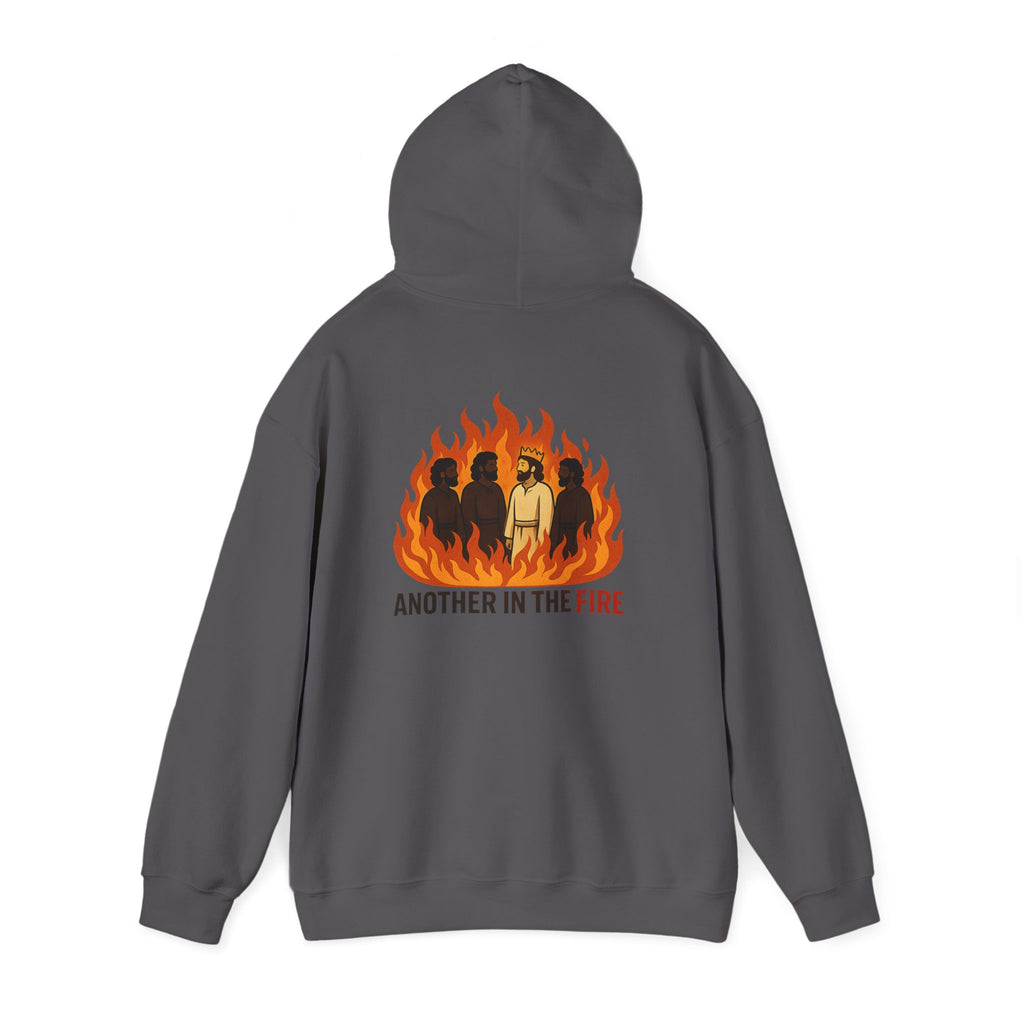 Daniel 3:26 Hoodie