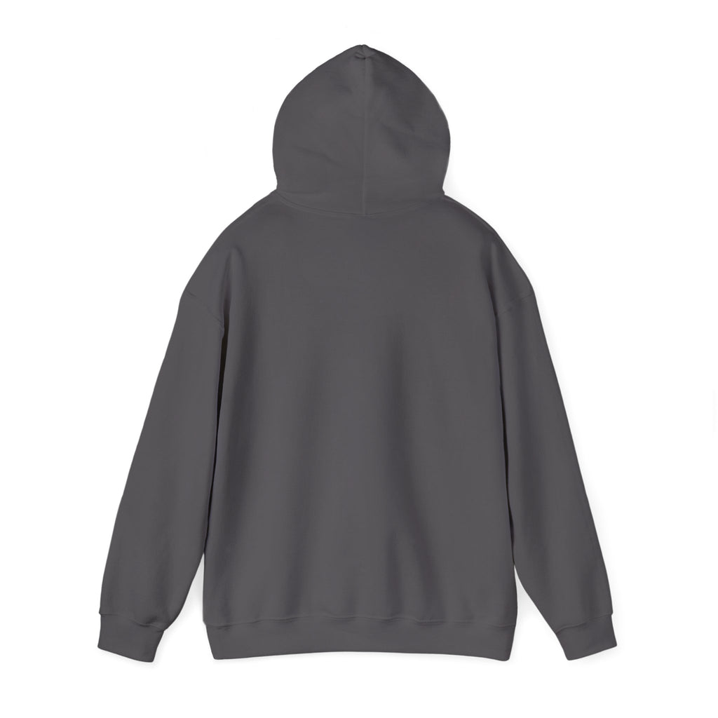 Christian Hoodie — "The Battle Is Not Yours But God's" Inspirational Pullover