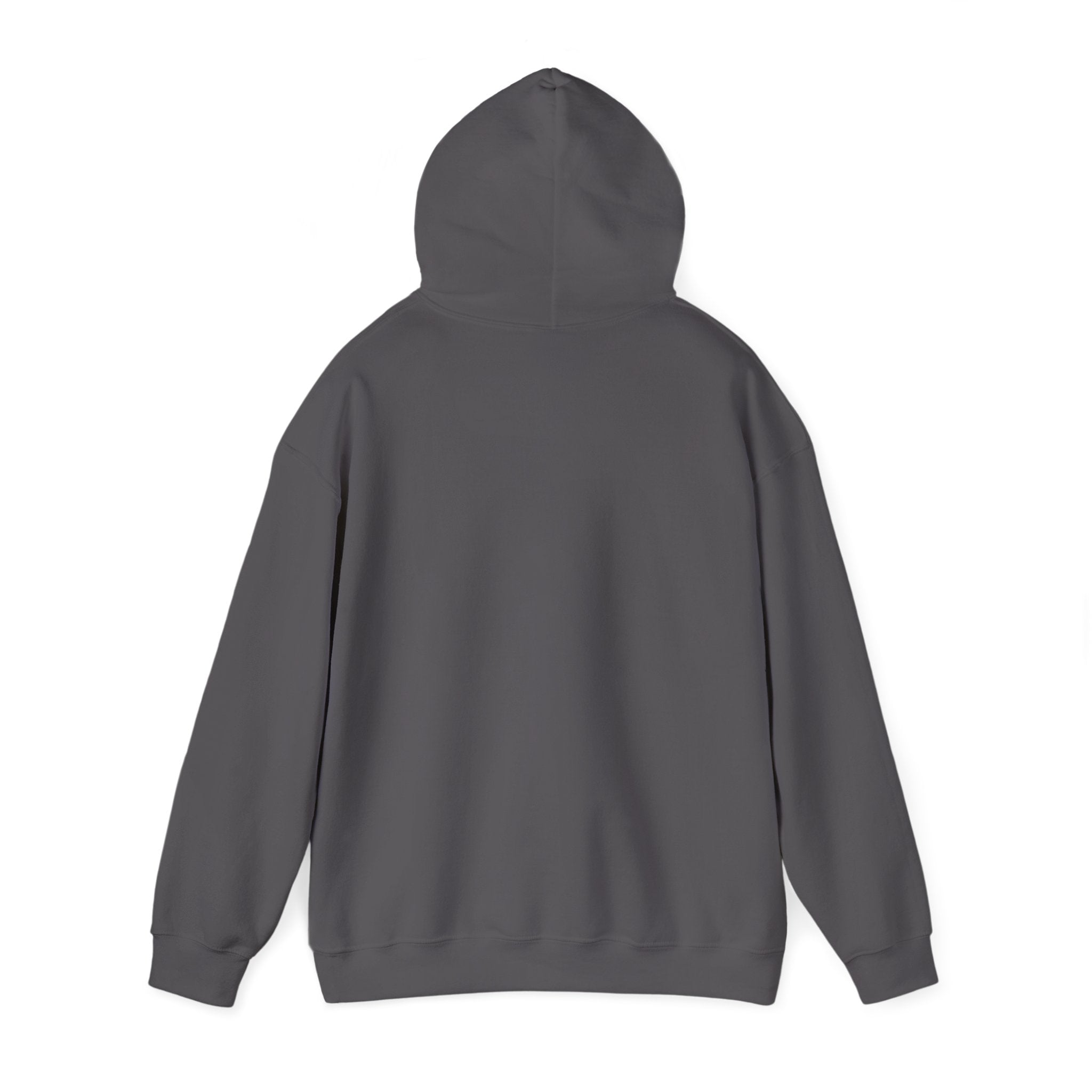 Christian Hoodie — "The Battle Is Not Yours But God's" Inspirational Pullover