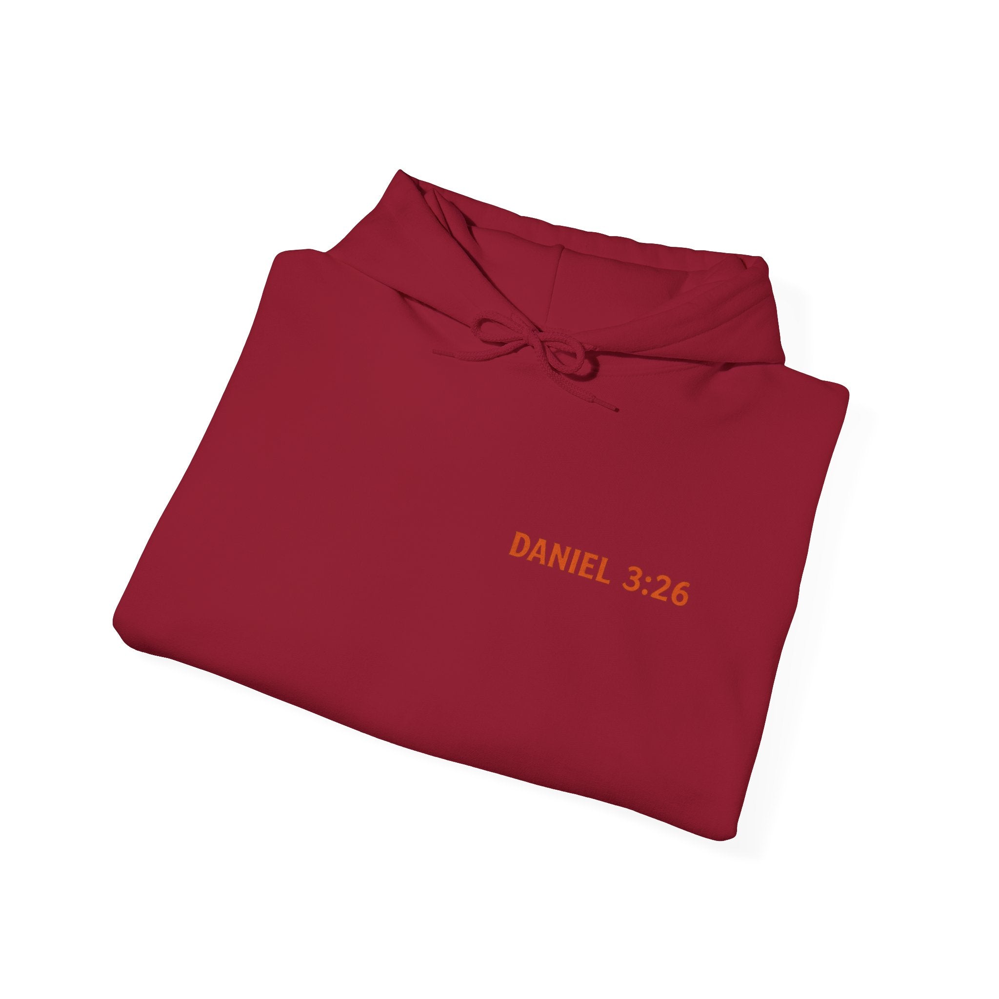 Daniel 3:26 Hoodie